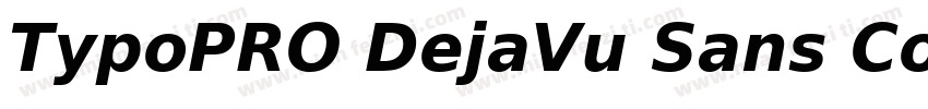 TypoPRO DejaVu Sans Condensed Bold字体转换